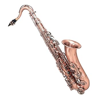 Amazon | プロフェッショナル真鍮テナーサックス B-フラット